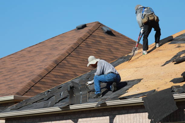 Professional Roofing service in Lewisburg, KY