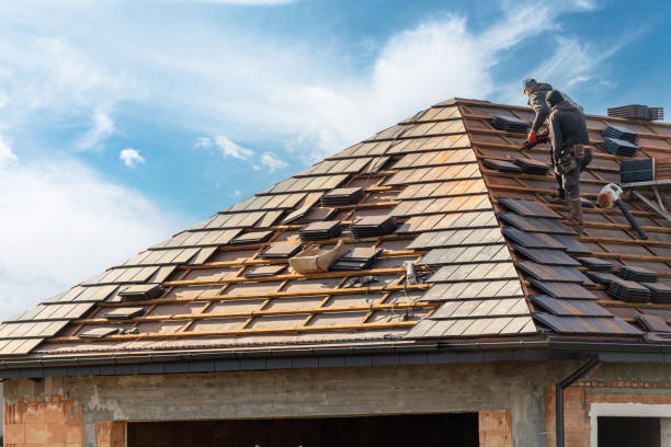 Best Storm Damage Roof Repair  in Lewisburg, KY